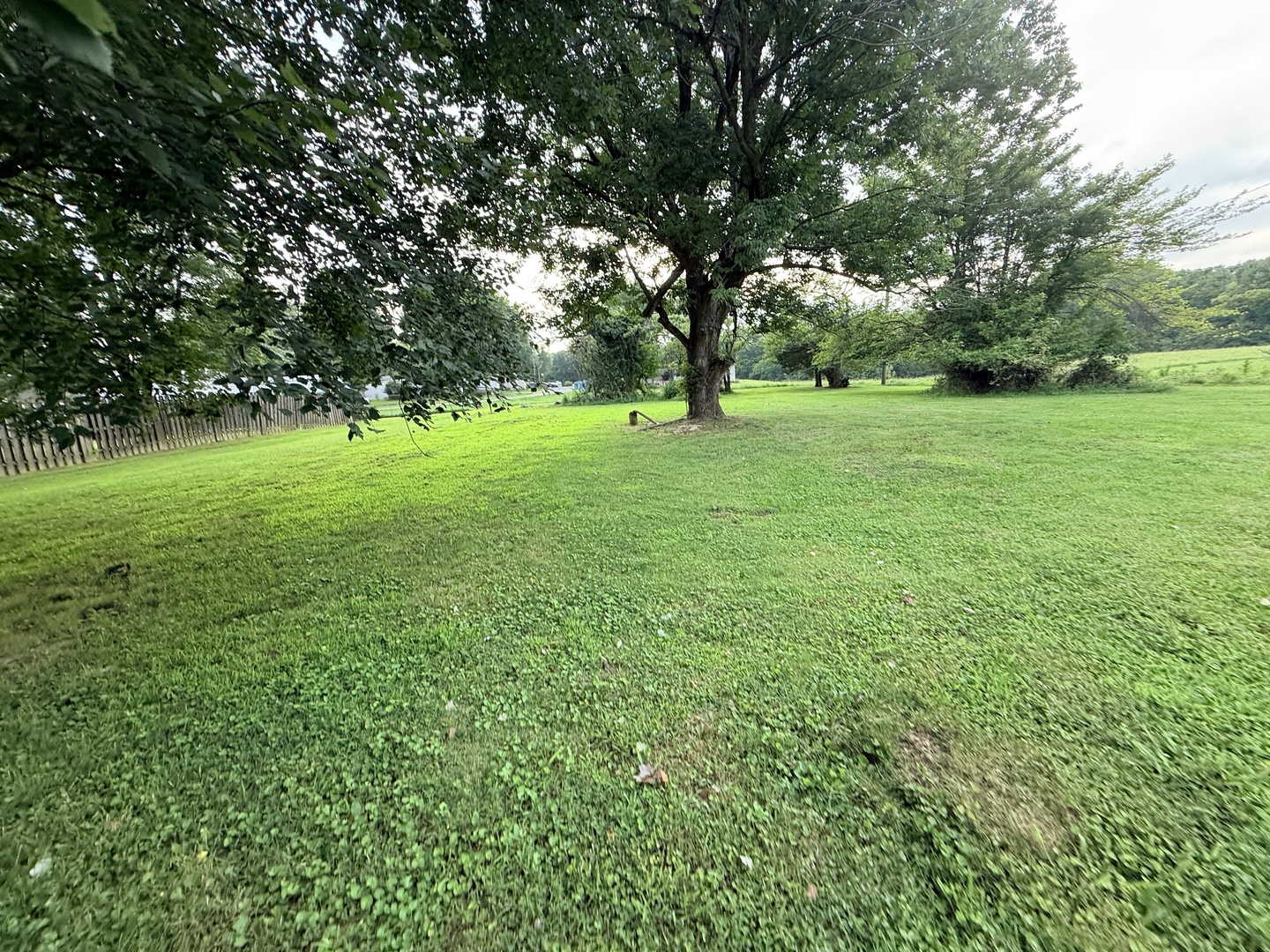 9799 Highway 127 Highway Property Photo 26