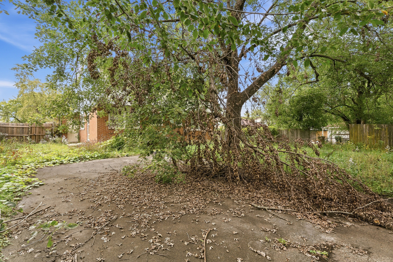 815 Blackhawk Drive Property Photo 29