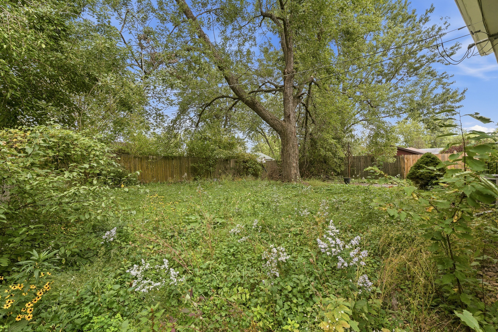 815 Blackhawk Drive Property Photo 31