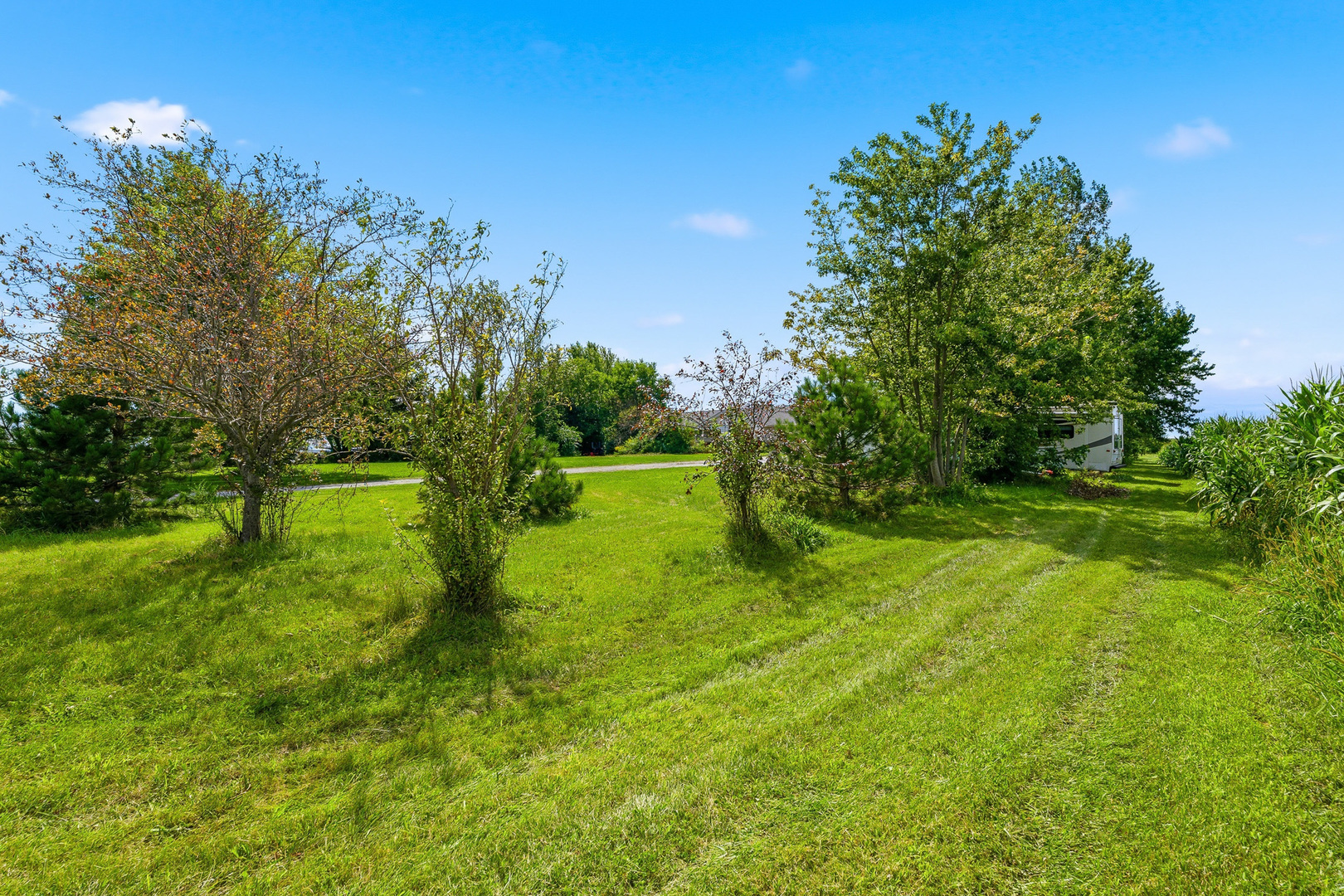 30640 S Ashland Avenue Property Photo 49