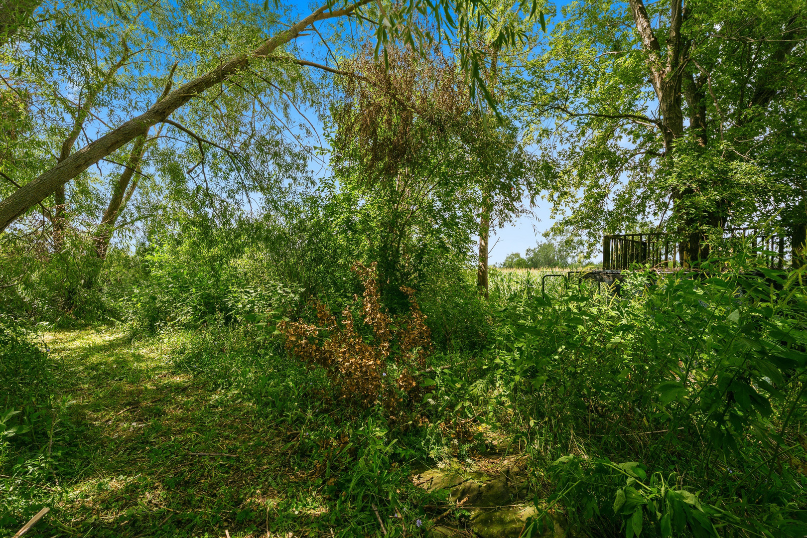 30640 S Ashland Avenue Property Photo 60
