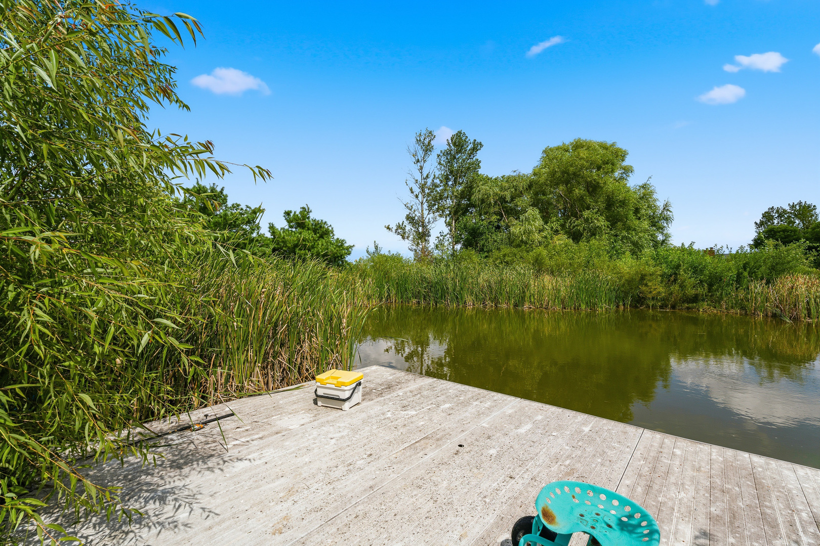 30640 S Ashland Avenue Property Photo 65