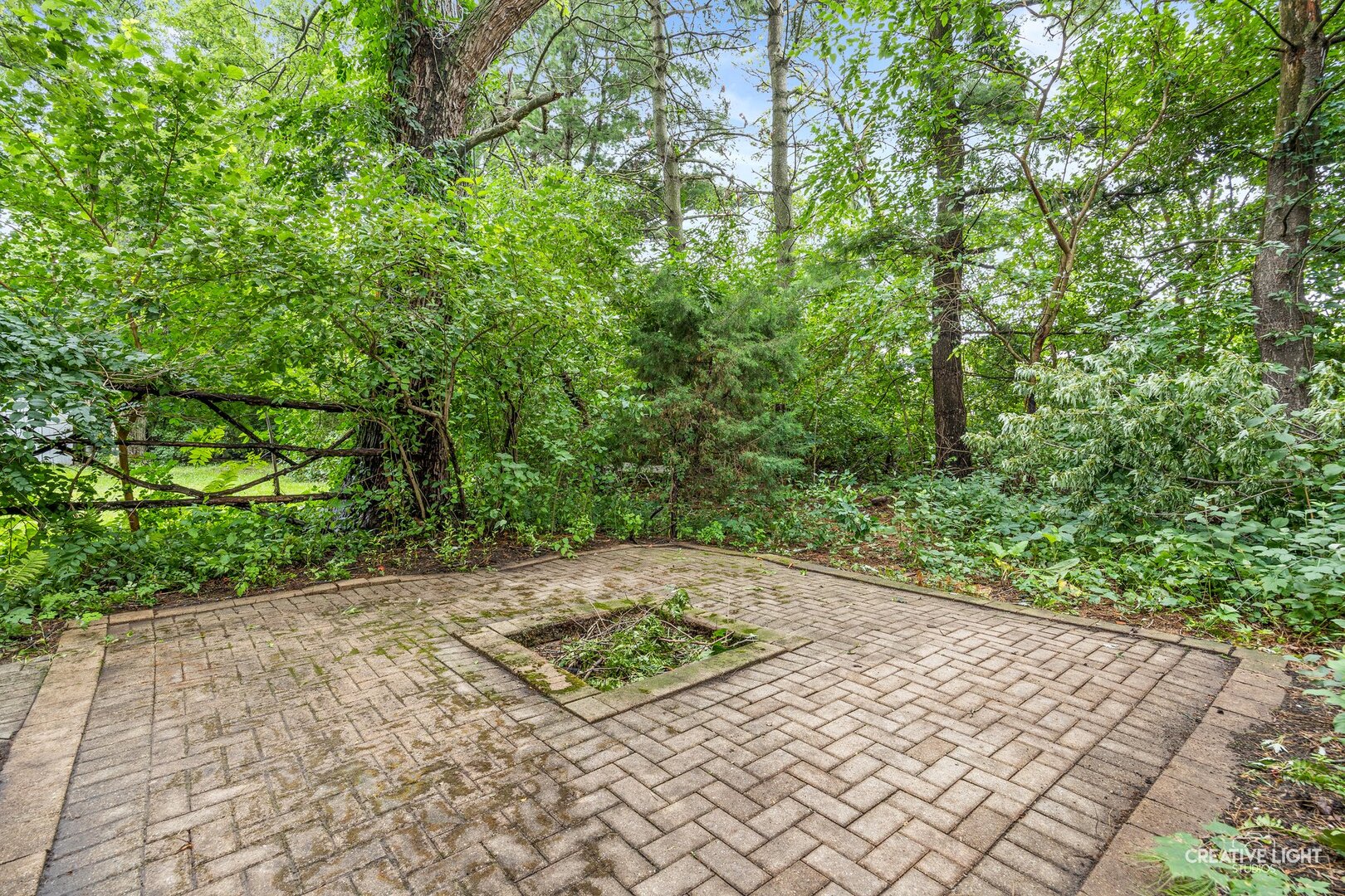 4520 Douglas Road Property Photo 23