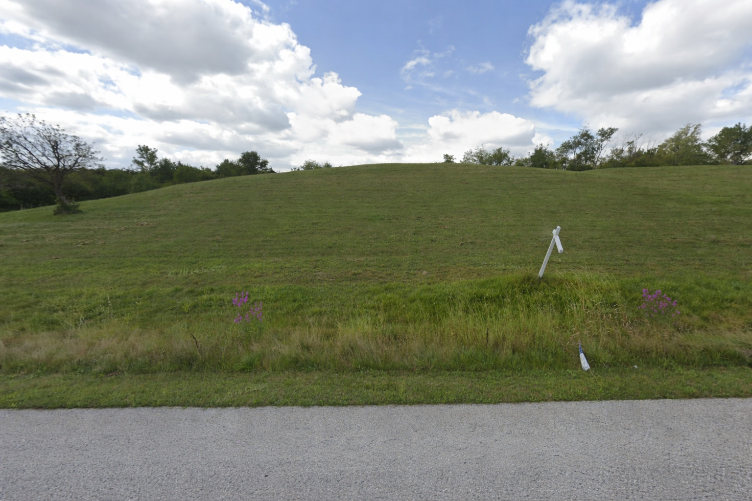39600 Orchard Bluff Lane Property Photo 2