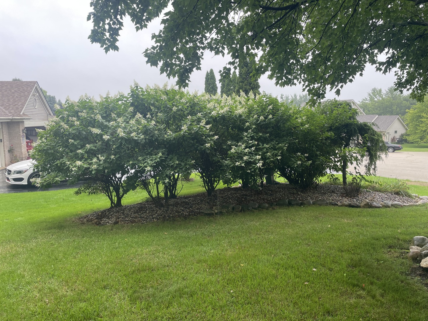 2137 Saint James Avenue Property Photo 37