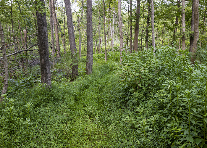 915 Sullivan Road Property Photo 7