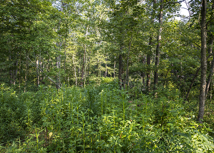 915 Sullivan Road Property Photo 9