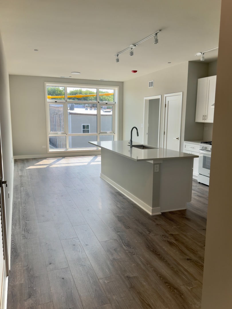 2807 S Halsted Street 309 Property Photo 3