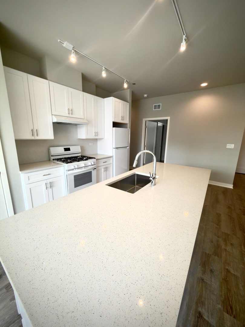 2807 S Halsted Street 309 Property Photo 10