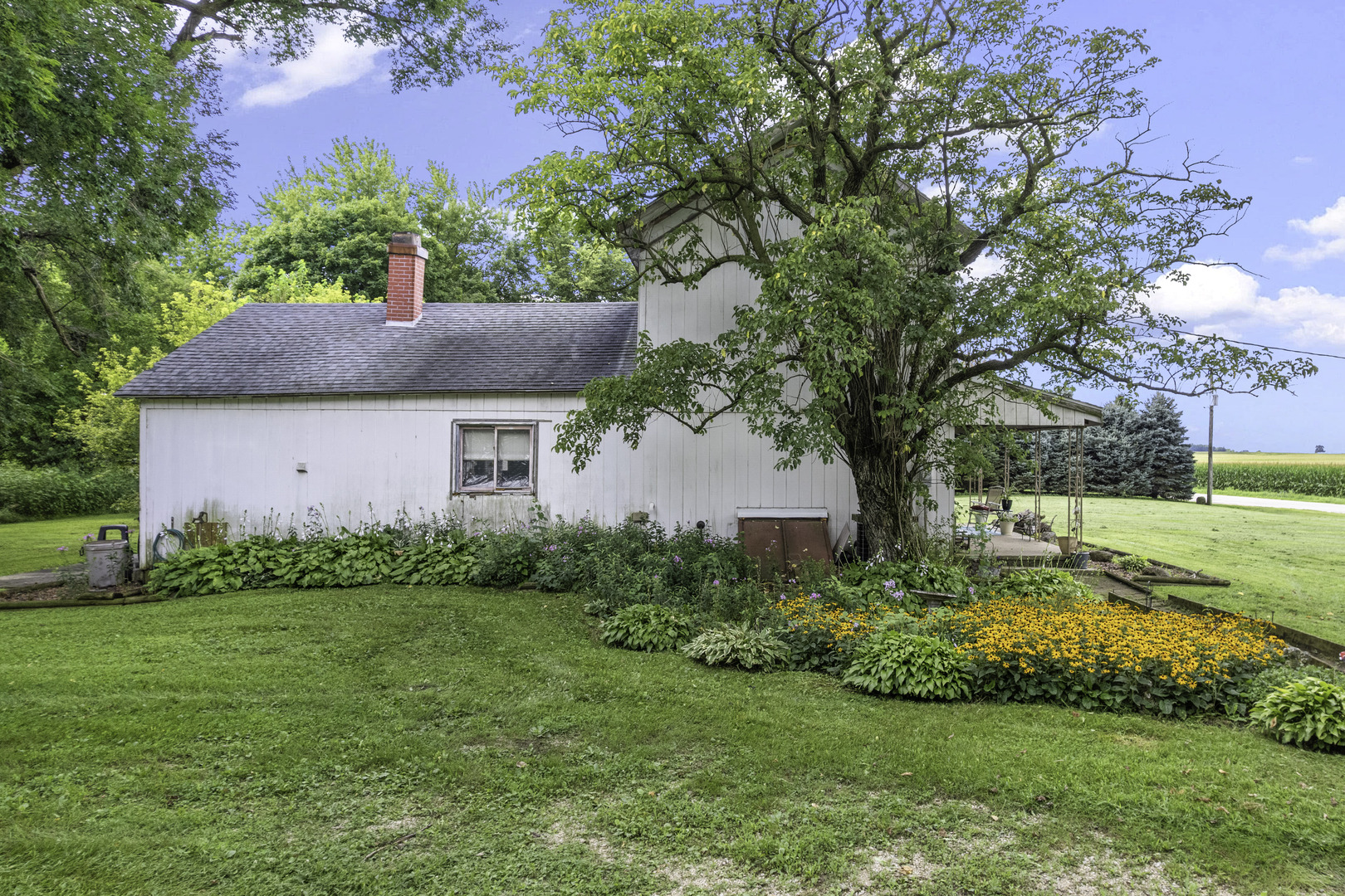 866 Paw Paw Road Property Photo 4