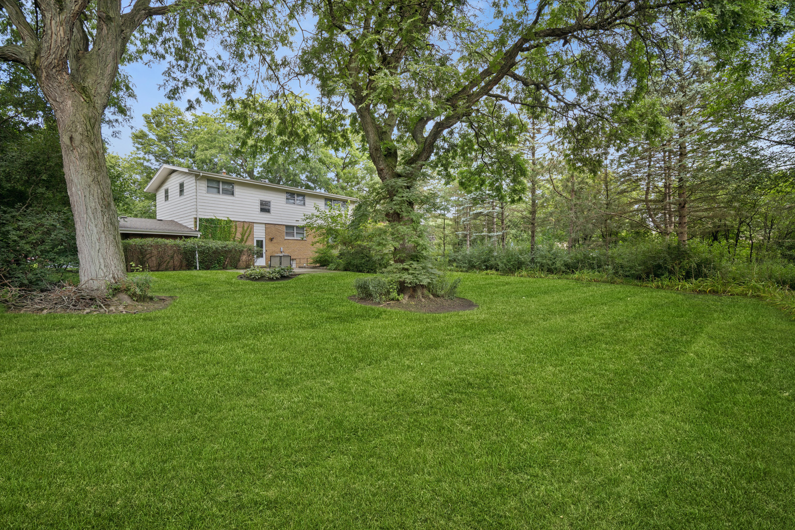 921 Wilmot Road Property Photo 16