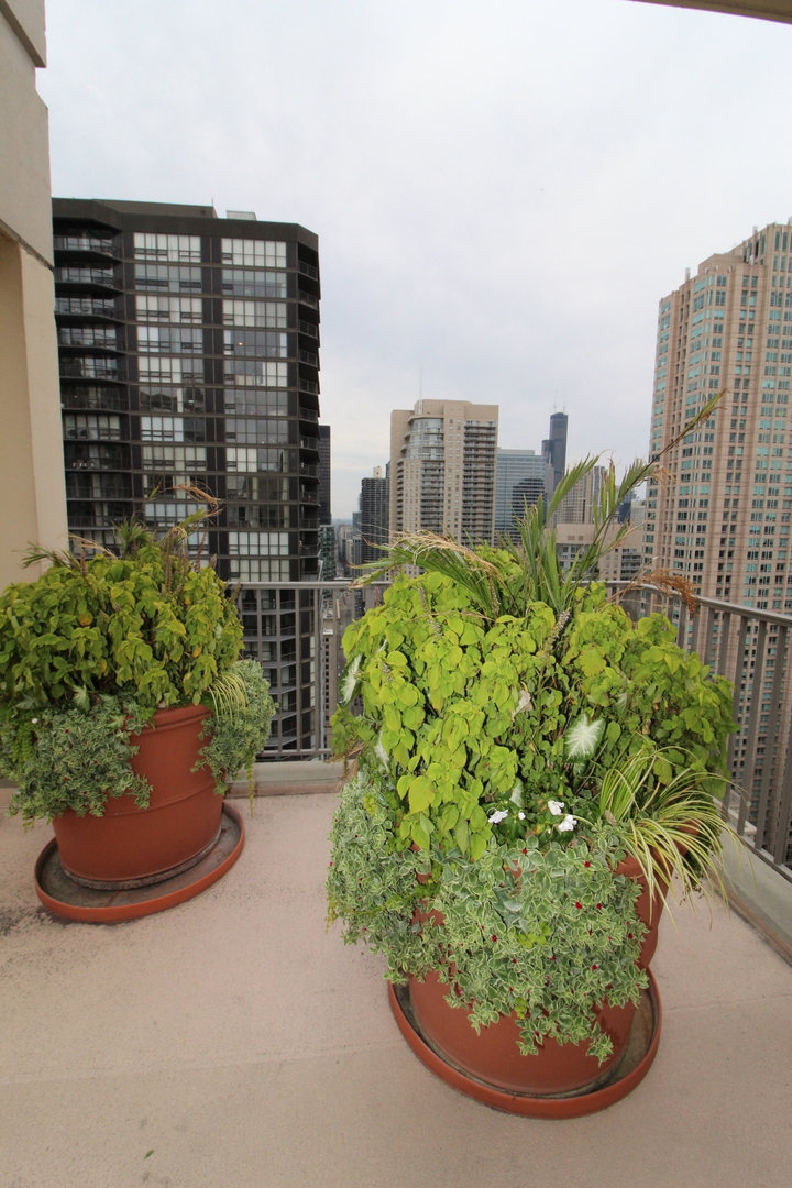 2 E Erie Street 3606 Property Photo 19