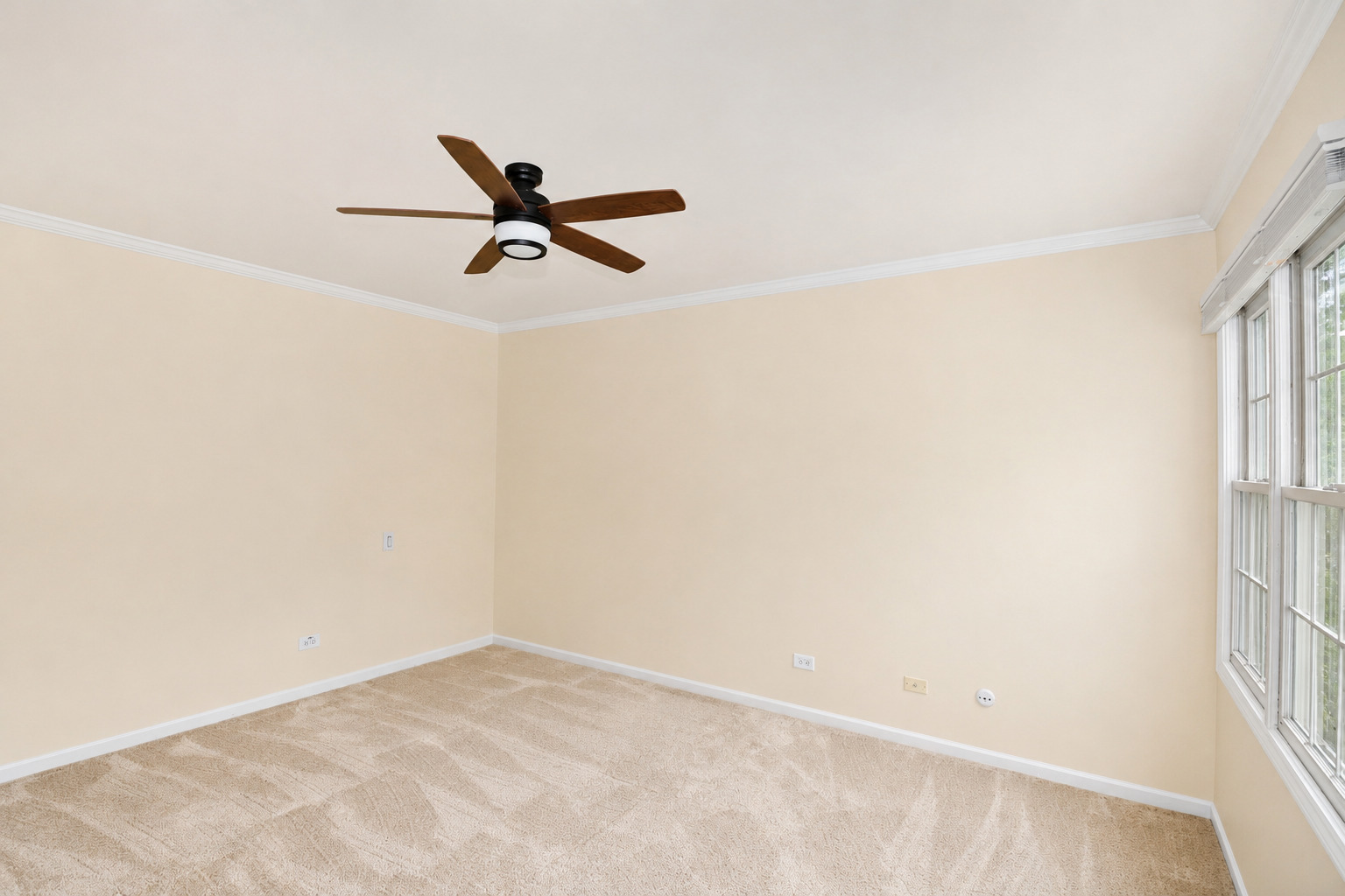 2s729 Parkview Drive Property Photo 24