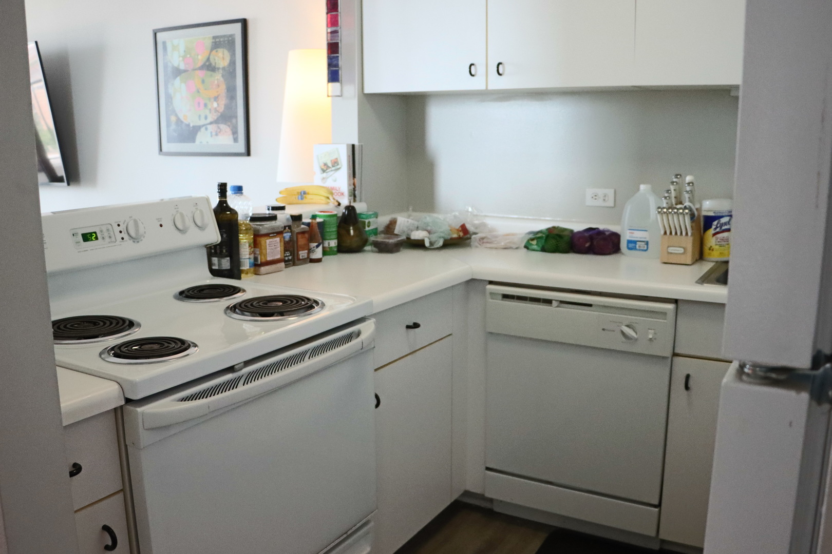 3660 N Lake Shore Drive 2106 Property Photo 6
