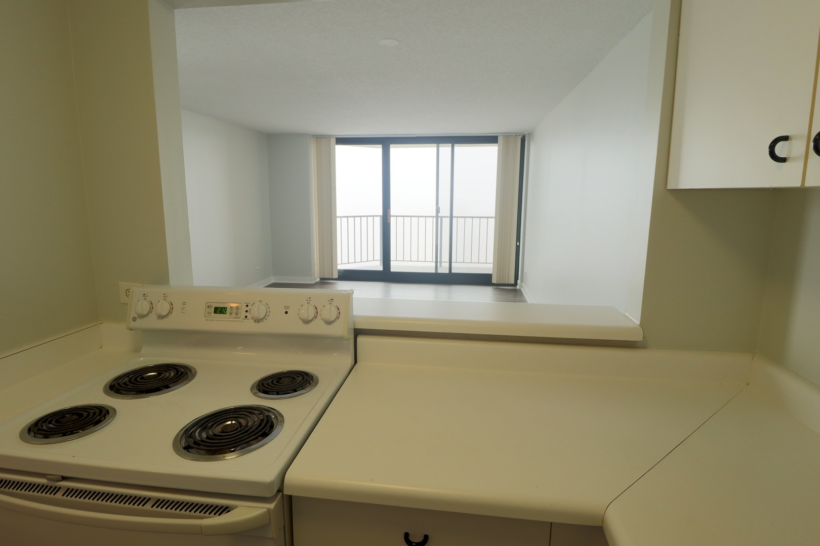 3660 N Lake Shore Drive 2106 Property Photo 12