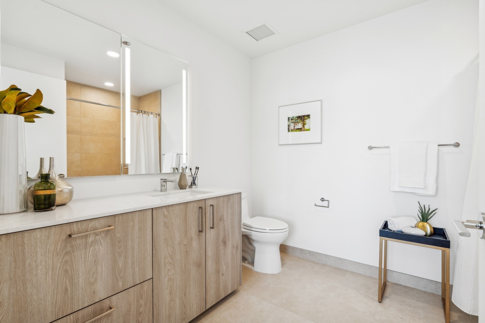 211 N Harbor Drive 3006 Property Photo 18