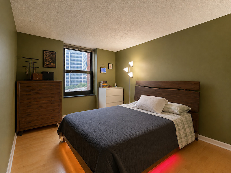 3660 N Lake Shore Drive 713 Property Photo 12