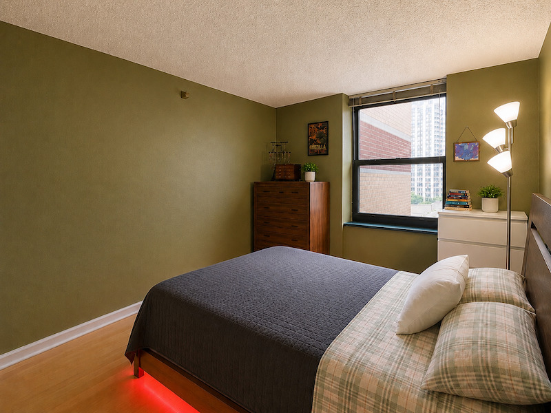 3660 N Lake Shore Drive 713 Property Photo 14