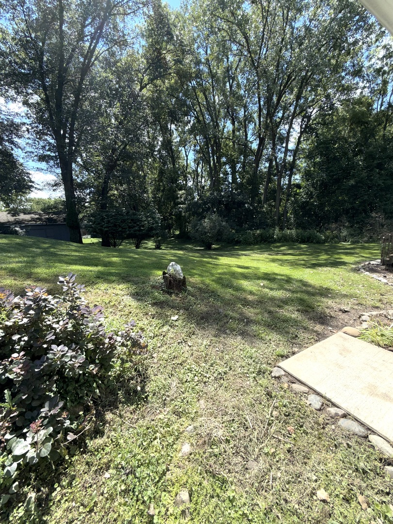 1130 Lincoln Avenue Property Photo 18