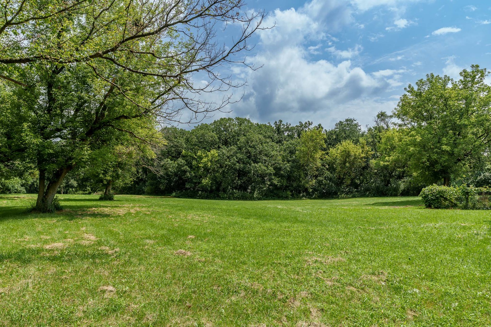 11371 Havenswood Road Property Photo 51