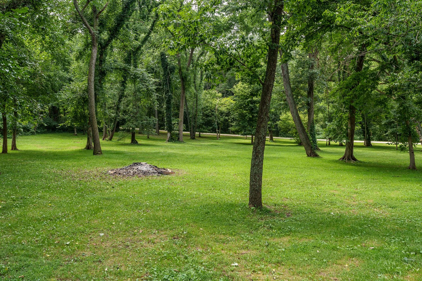 11371 Havenswood Road Property Photo 54