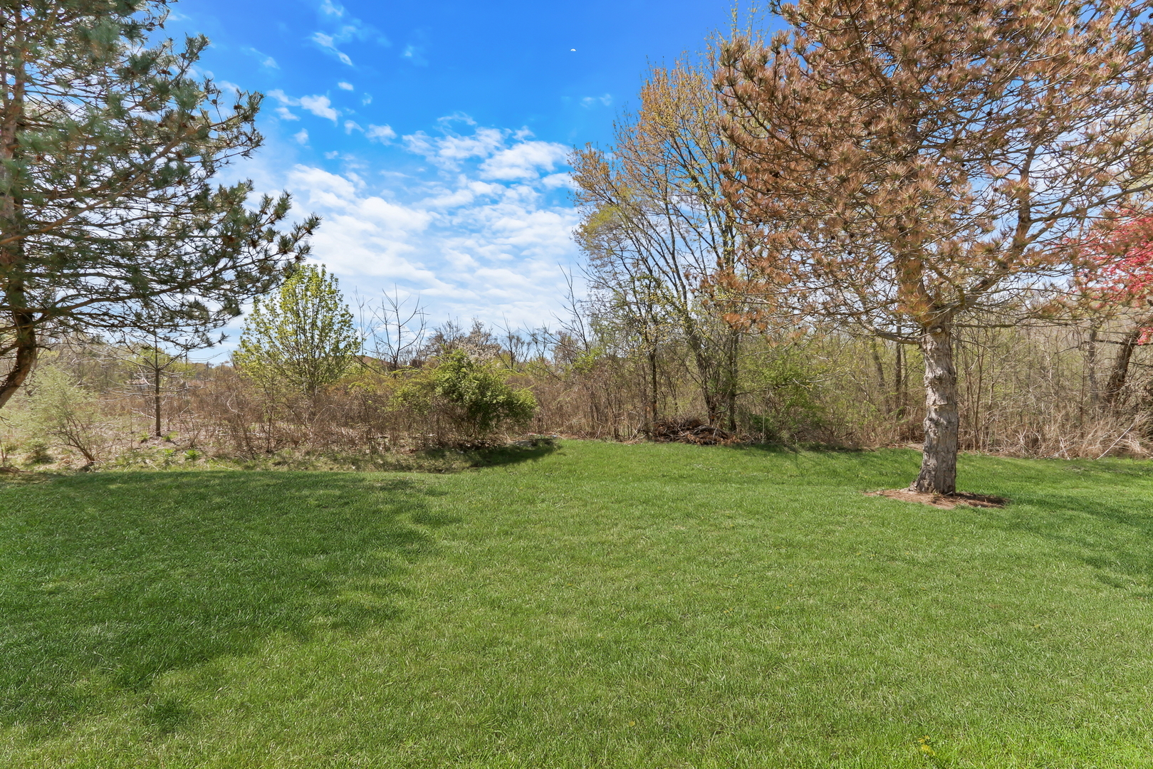 38312 Imperial Lane Property Photo 3