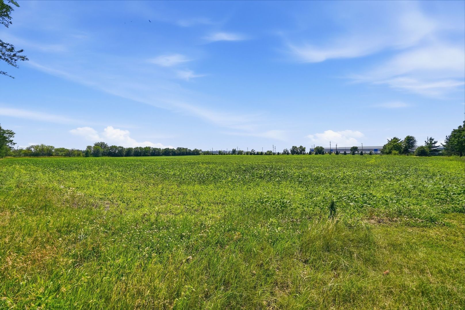 19709 W Schweitzer Road Property Photo 43