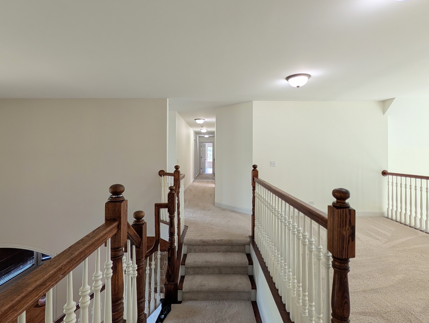4341 Carlisle Drive Property Photo 65