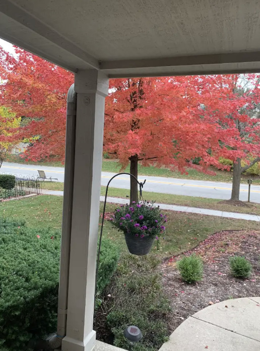 2105 Bent Tree Drive Property Photo 26