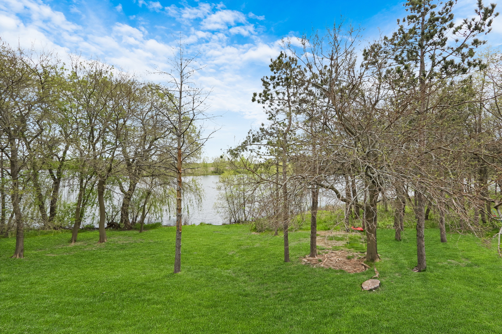 1015 Timber Lake Drive Property Photo 5