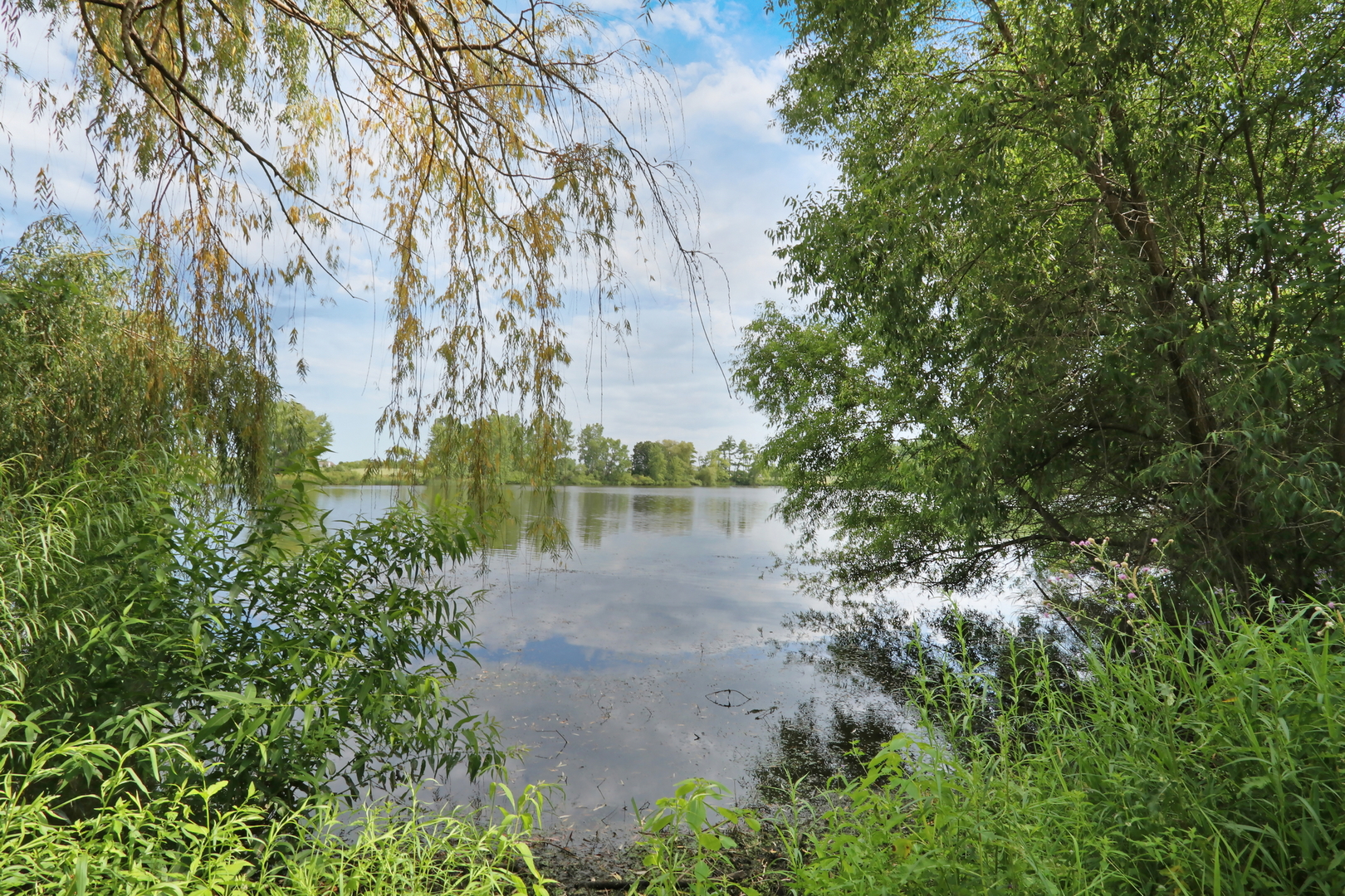 1015 Timber Lake Drive Property Photo 6