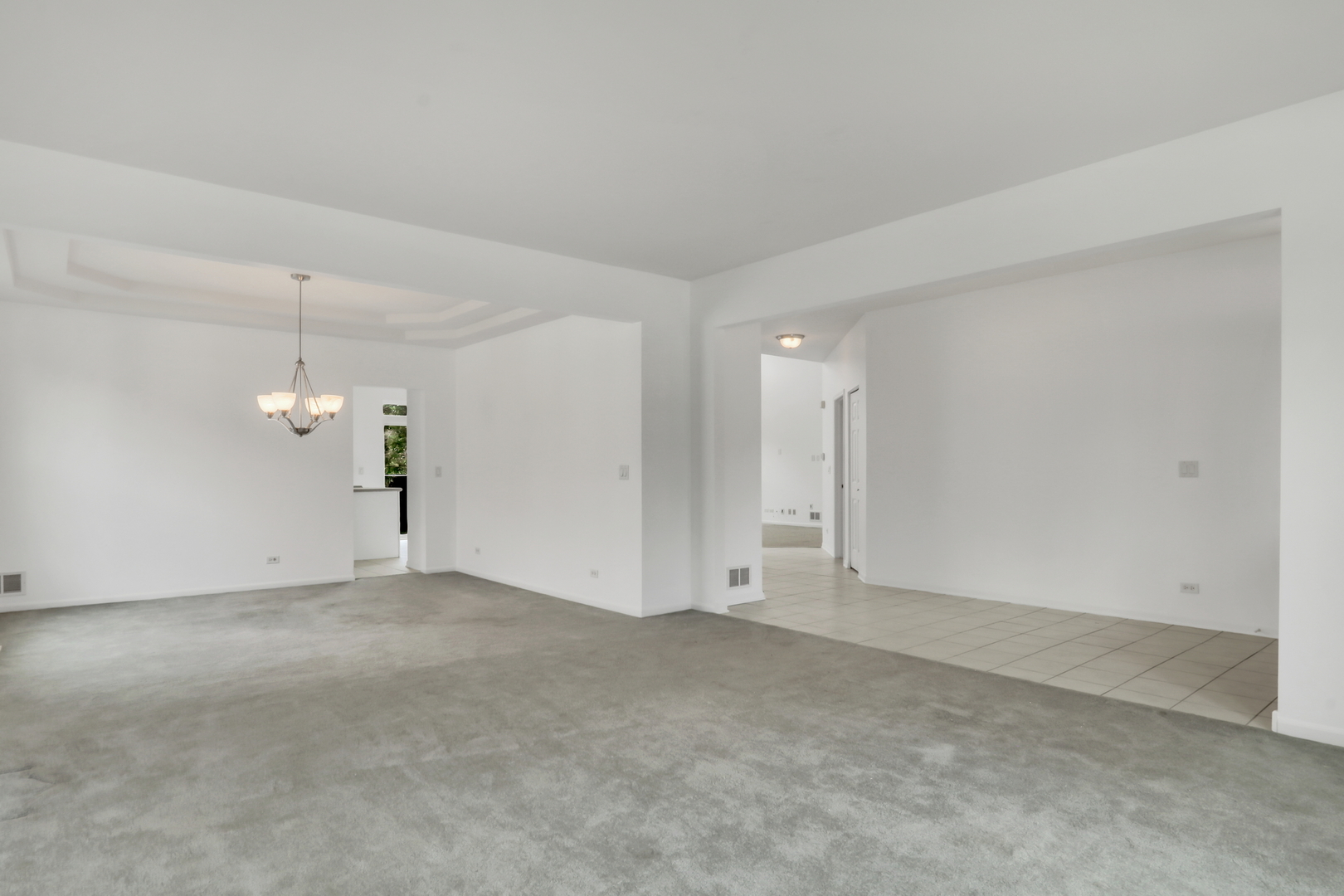 1015 Timber Lake Drive Property Photo 12