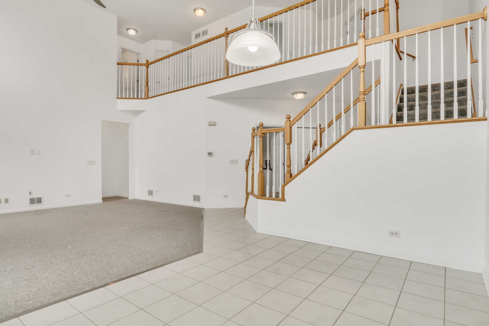 1015 Timber Lake Drive Property Photo 23