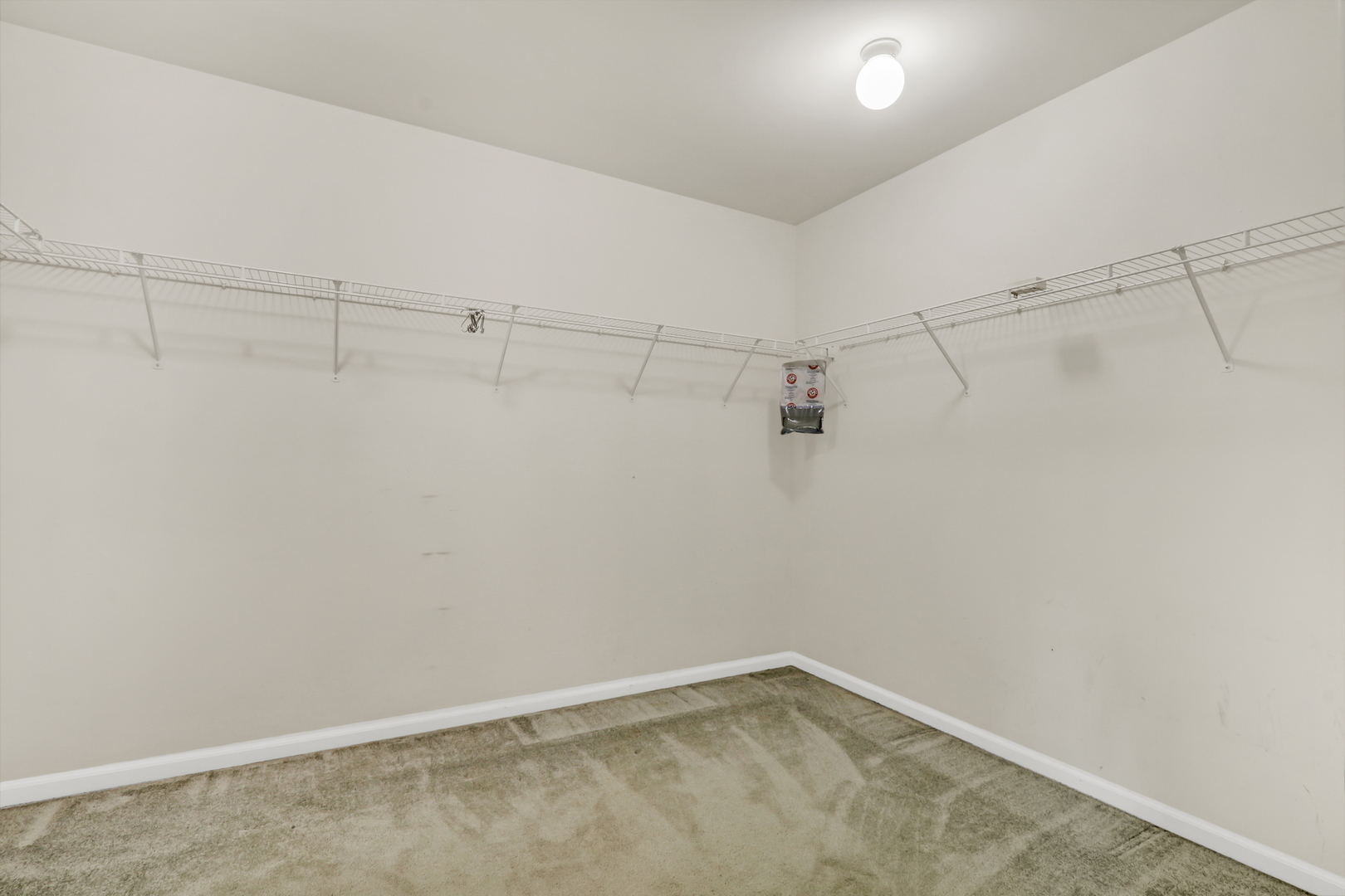 1015 Timber Lake Drive Property Photo 39