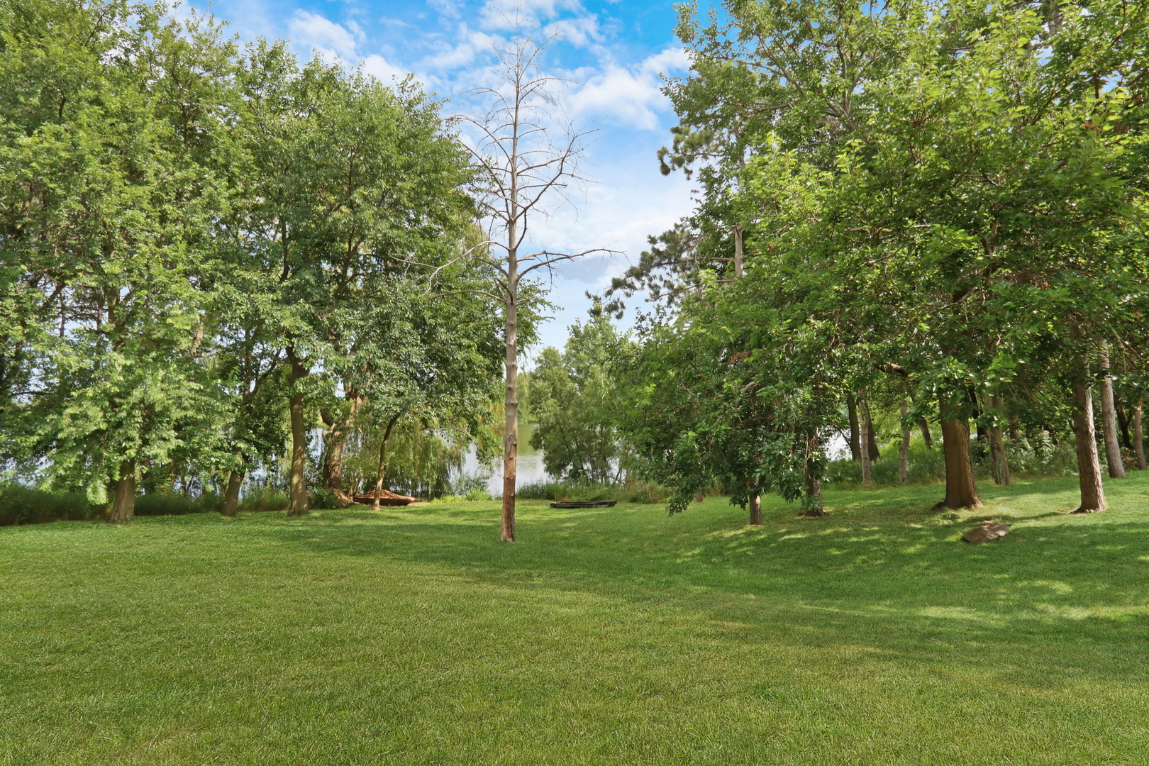 1015 Timber Lake Drive Property Photo 54