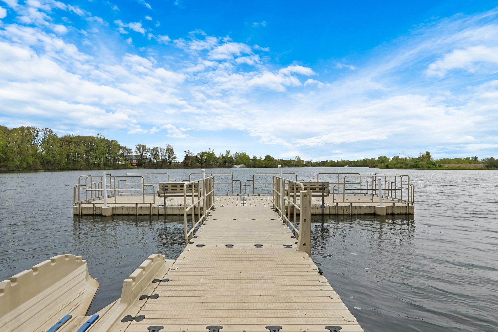 1015 Timber Lake Drive Property Photo 60