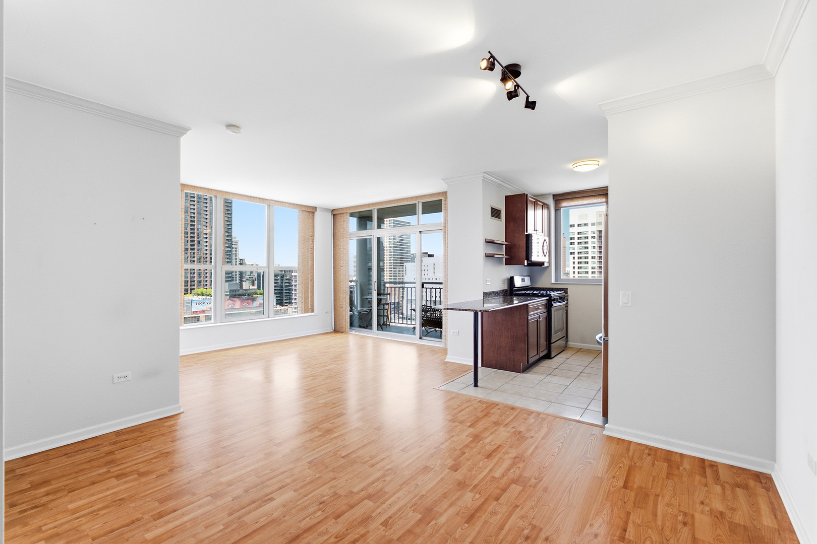 600 N Dearborn Street 1501 Property Photo 4