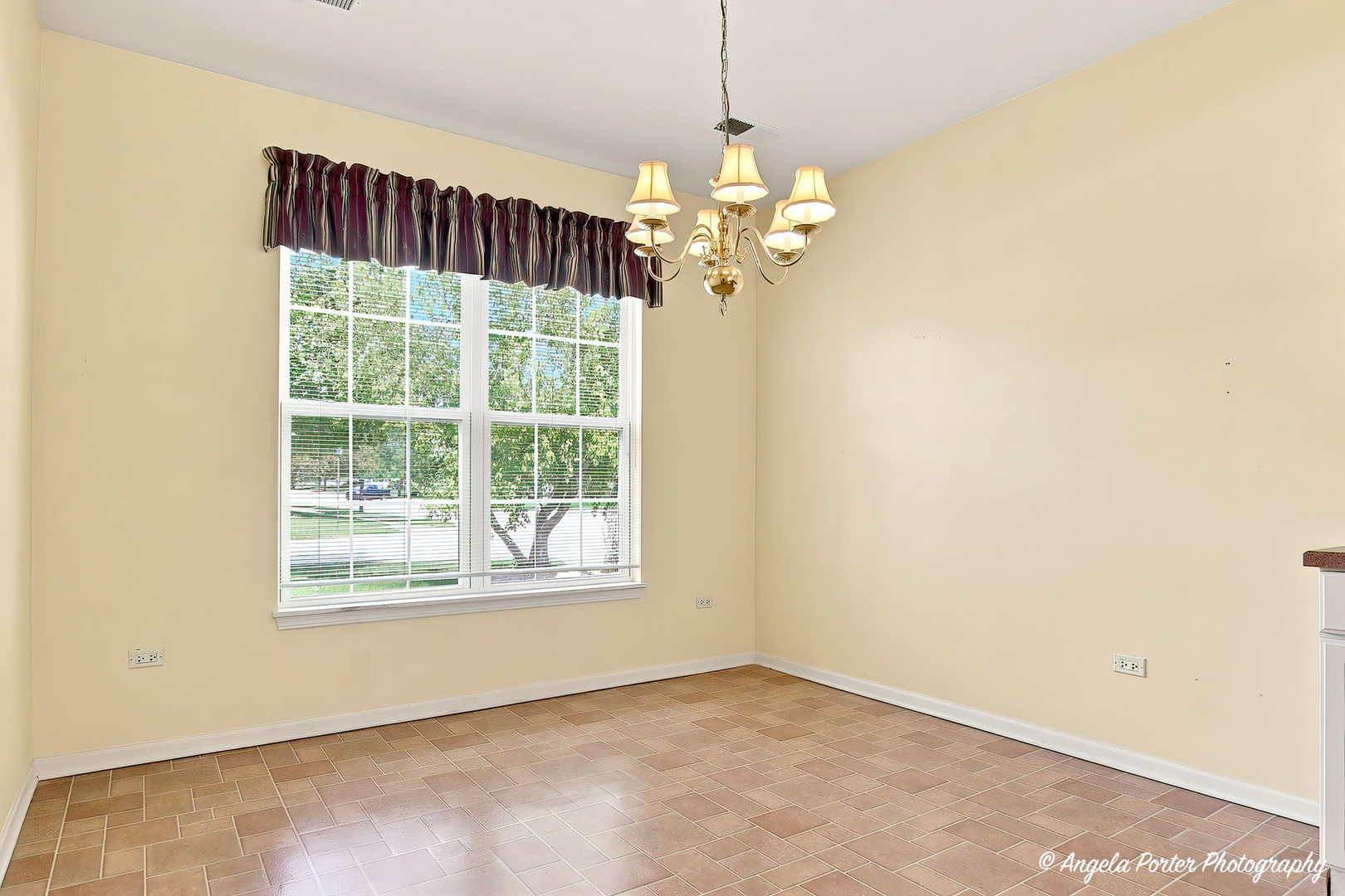 11796 Borhart Drive Property Photo 6