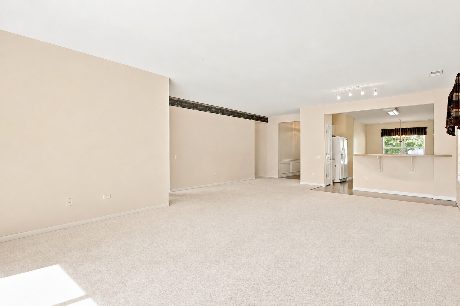 11796 Borhart Drive Property Photo 12