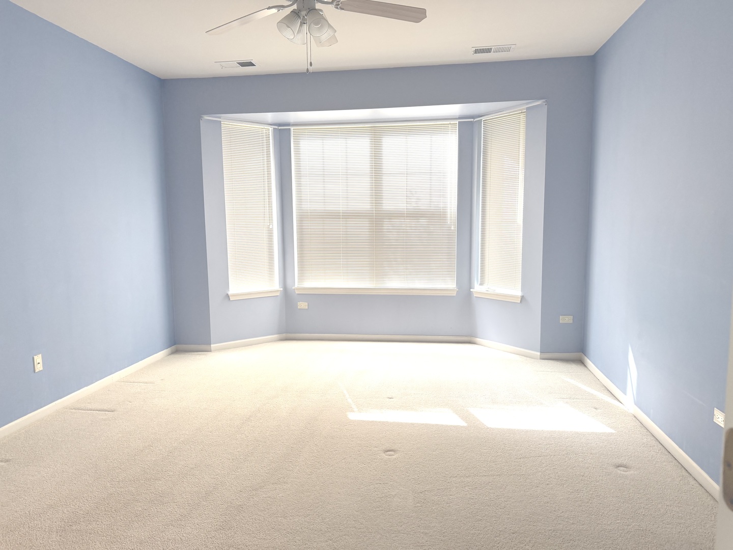 11796 Borhart Drive Property Photo 14