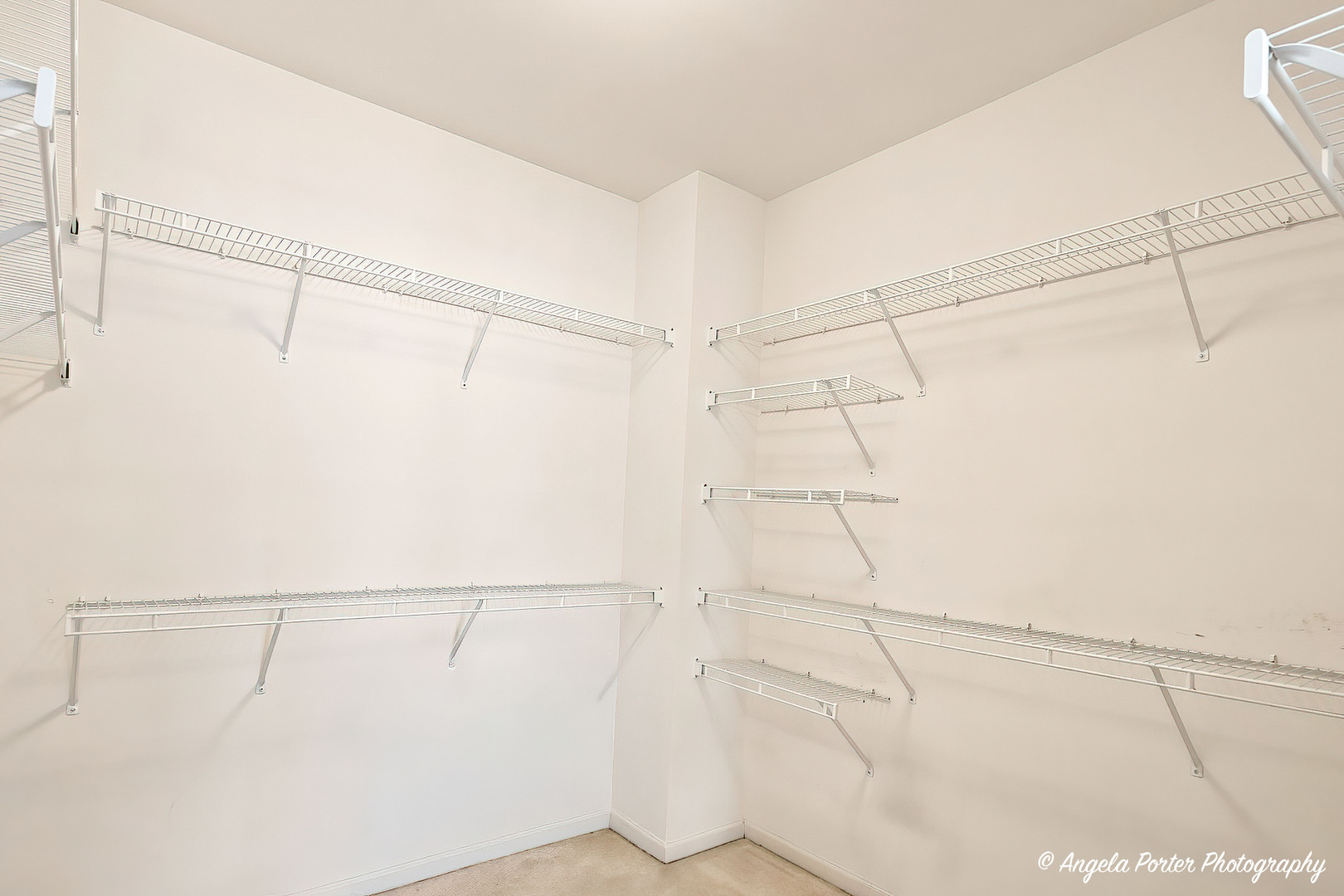 11796 Borhart Drive Property Photo 17