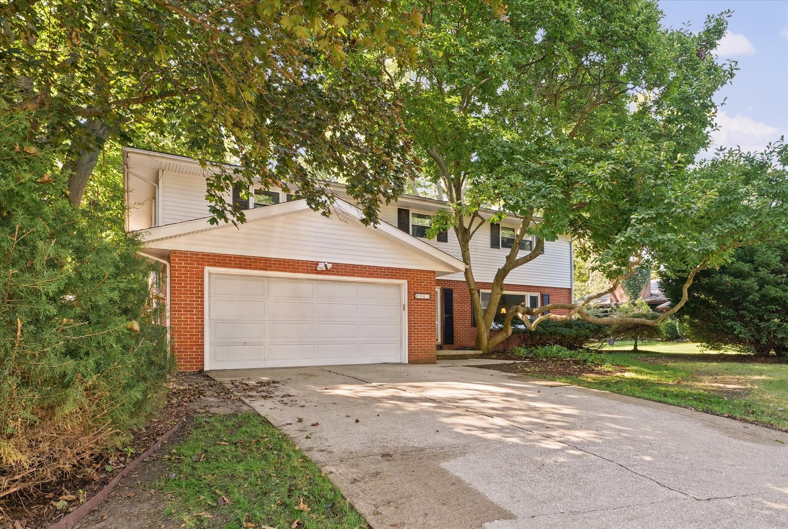 803 Brighton Drive Property Photo 2