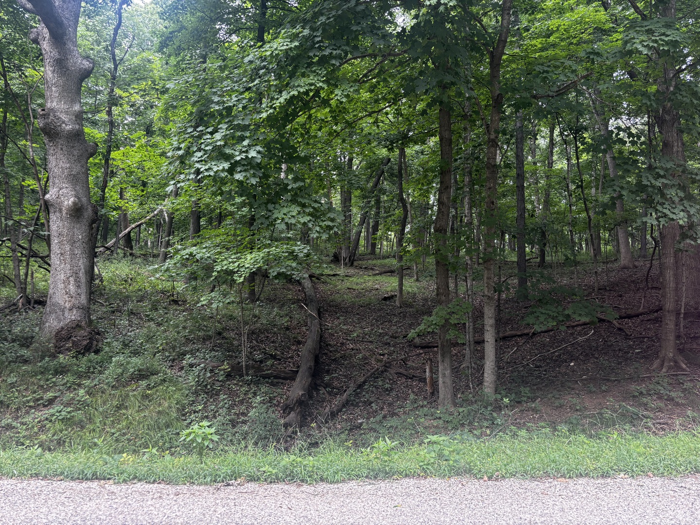 1806 Tanglewood Drive Property Photo 1