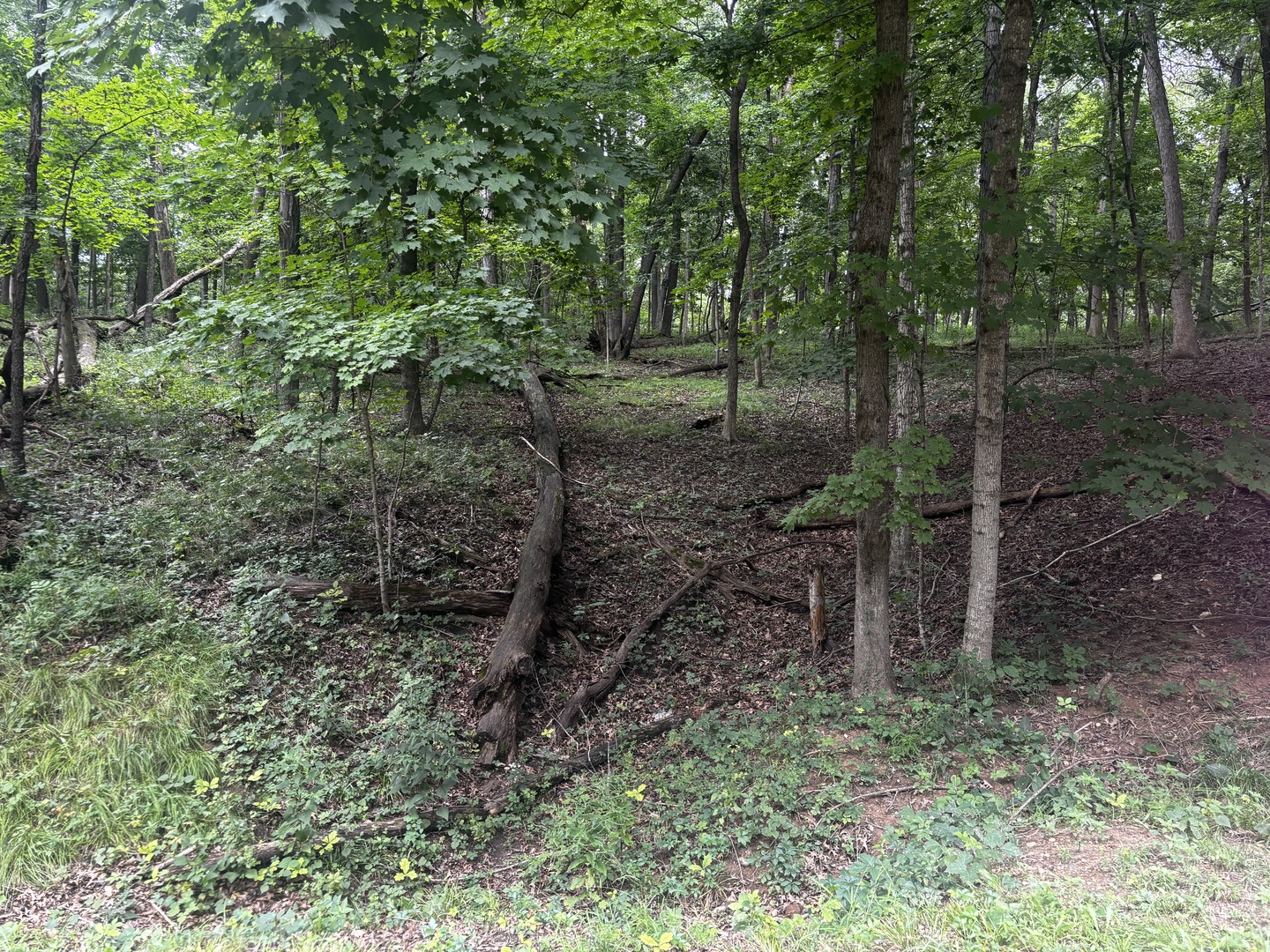 1806 Tanglewood Drive Property Photo 2
