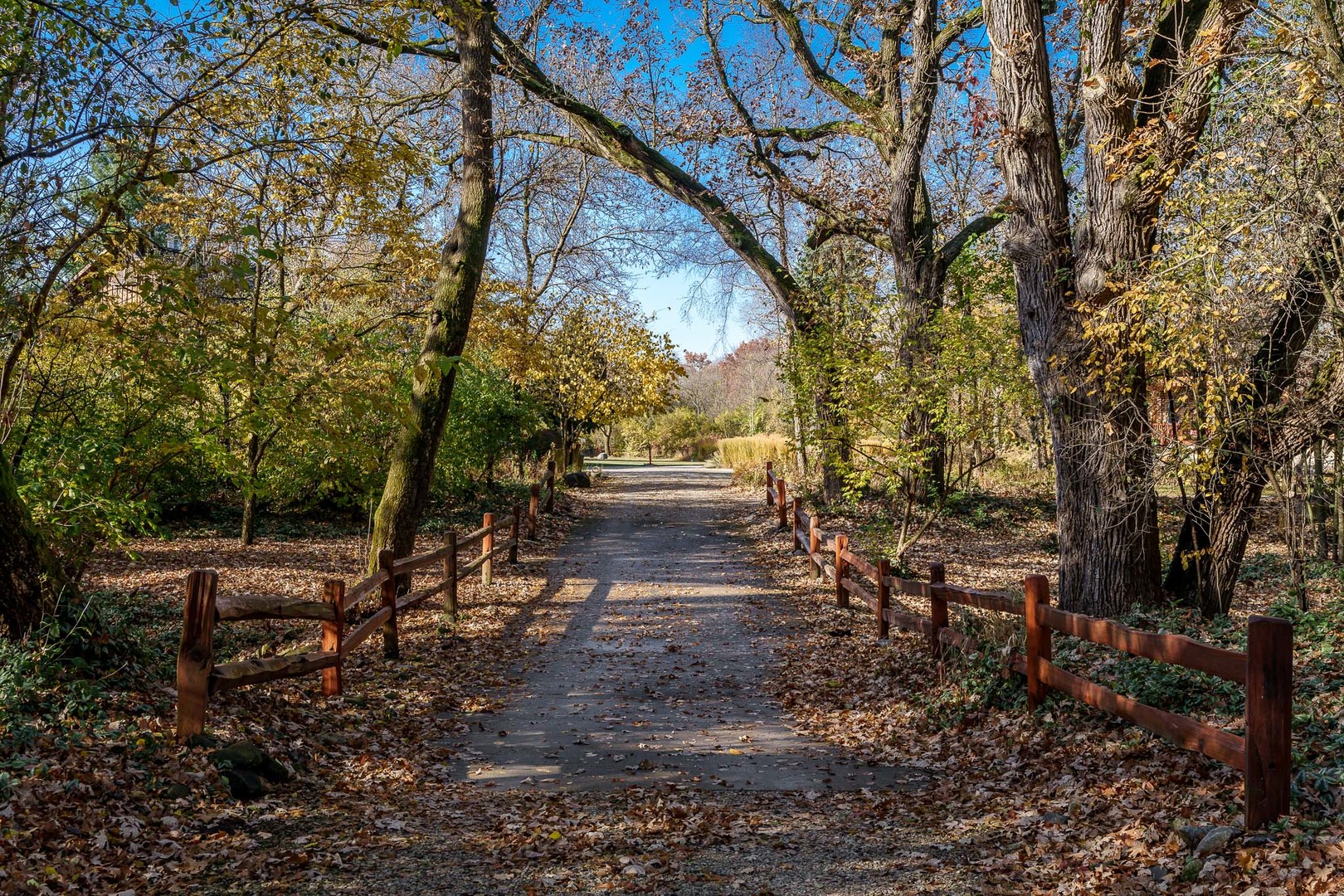 2317 Paulson Road Property Photo 29