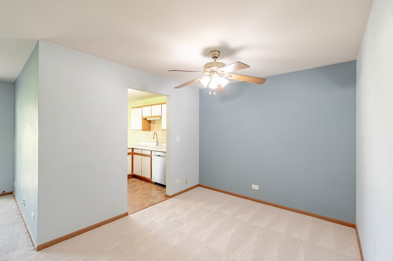 250 Ashbury Lane 3 Property Photo 3