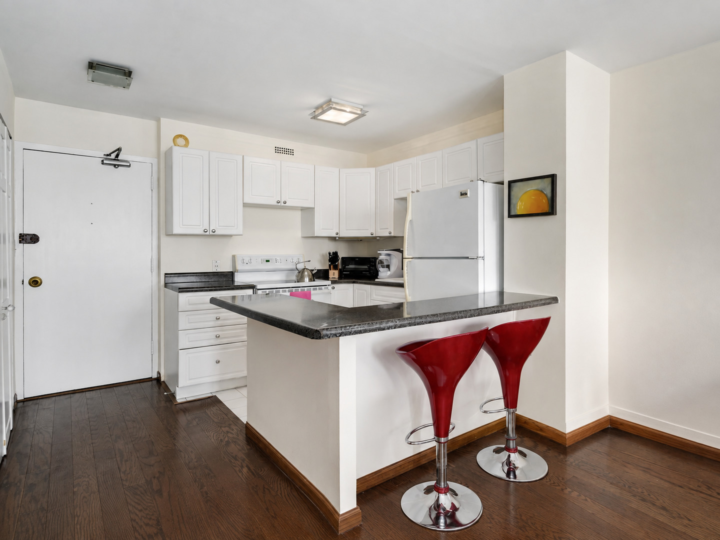 1360 N Sandburg Terrace 1106c Property Photo 6
