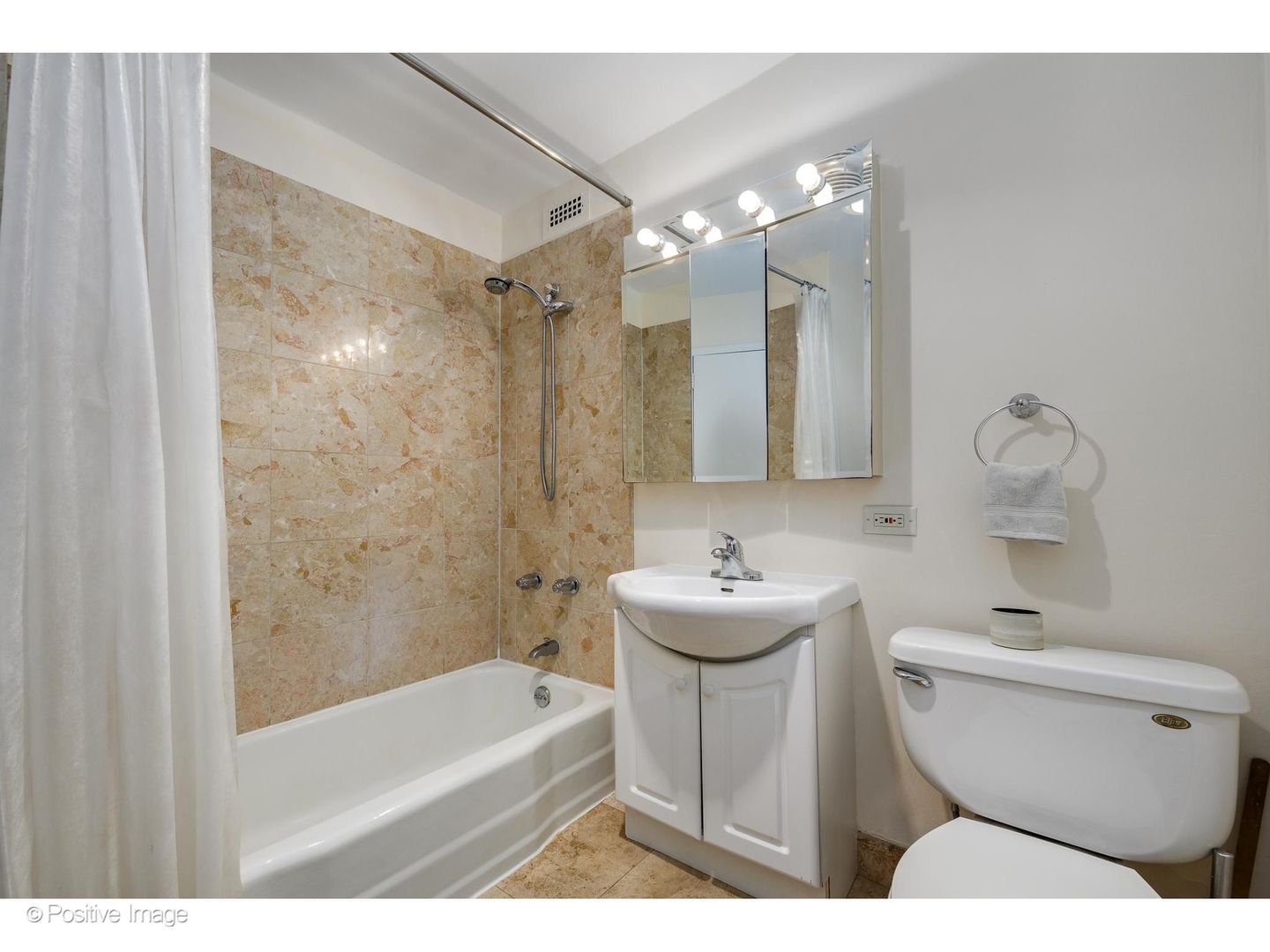1360 N Sandburg Terrace 1106c Property Photo 14