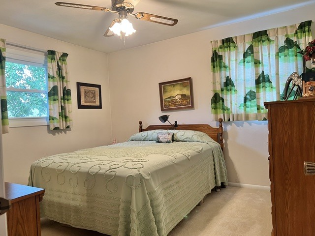 356 W Meadow Lane Property Photo 9