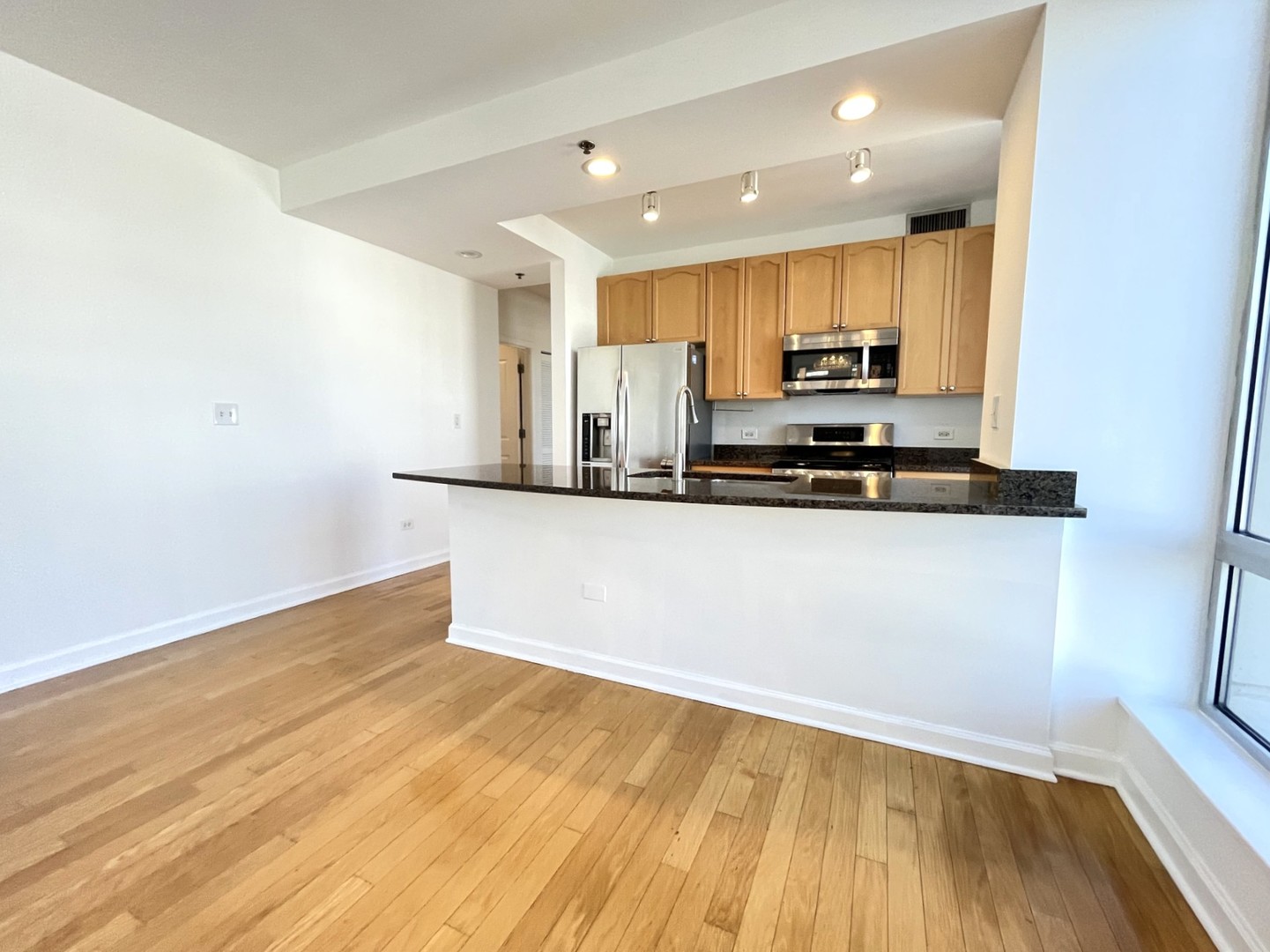 1250 S Michigan Avenue 1209 Property Photo 2